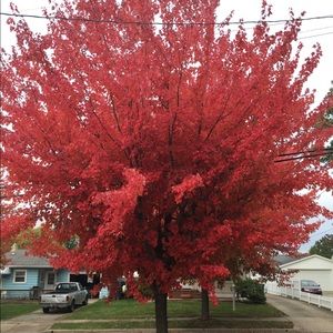 Meet your Posher, Aleena